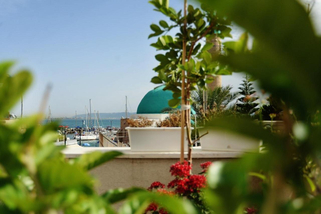 عكا El Sayed House B&B المظهر الخارجي الصورة